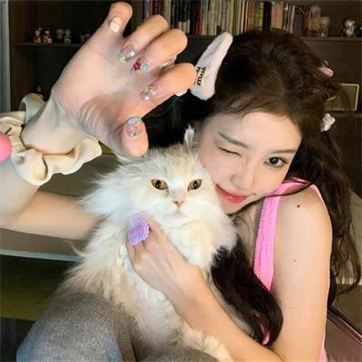 我爱猫头鹰